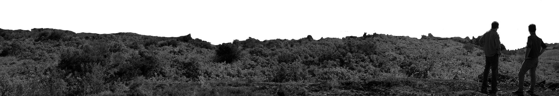 imagem de fundo